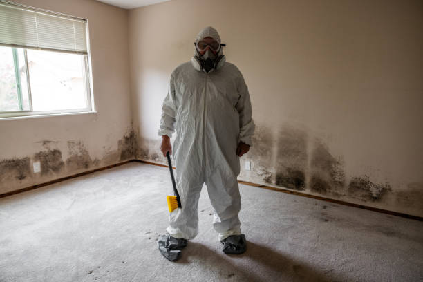 Best Mold Testing and Inspection Services in Clemson University, SC
